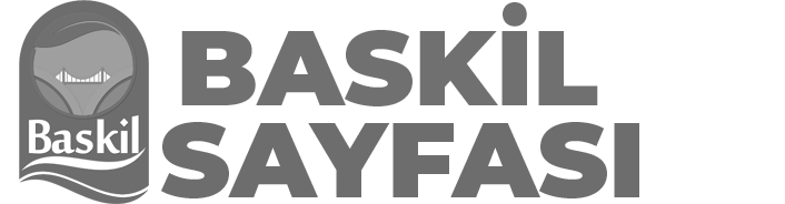 Baskil logo	